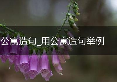 公寓造句_用公寓造句举例