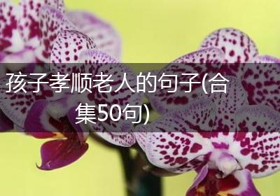 孩子孝顺老人的句子(合集50句)