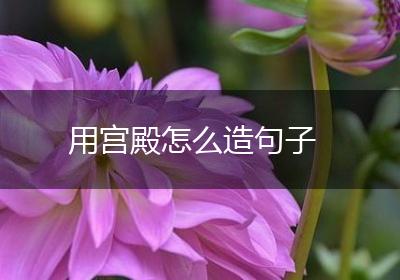 用宫殿怎么造句子