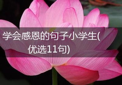 学会感恩的句子小学生(优选11句)