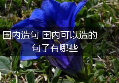国内造句 国内可以造的句子有哪些