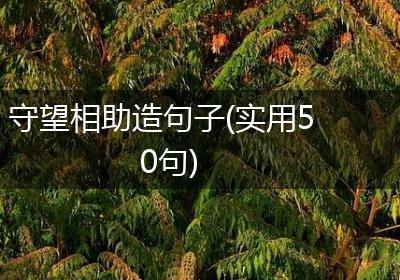 守望相助造句子(实用50句)