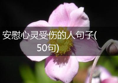 安慰心灵受伤的人句子(50句)