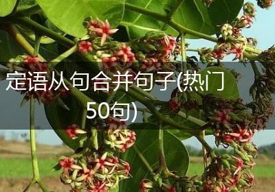 定语从句合并句子(热门50句)