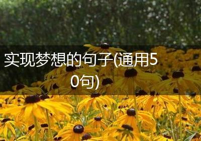 实现梦想的句子(通用50句)