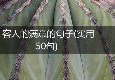 客人的满意的句子(实用50句)