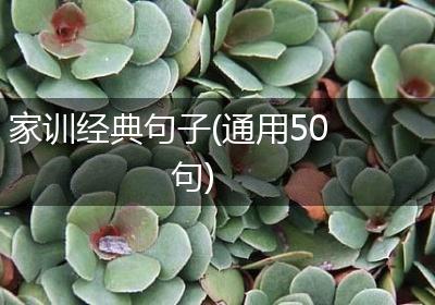 家训经典句子(通用50句)