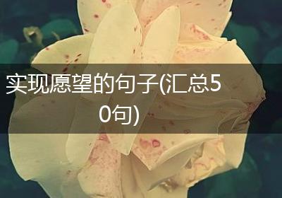 实现愿望的句子(汇总50句)