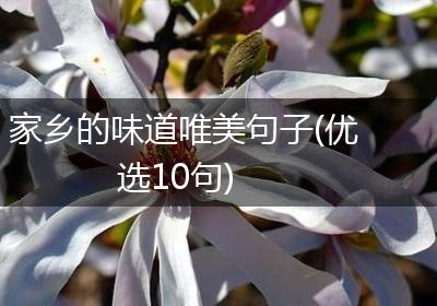 家乡的味道唯美句子(优选10句)