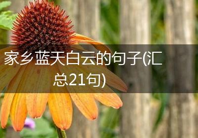 家乡蓝天白云的句子(汇总21句)