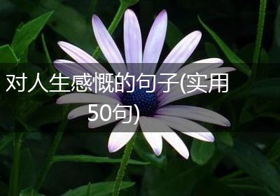 对人生感慨的句子(实用50句)