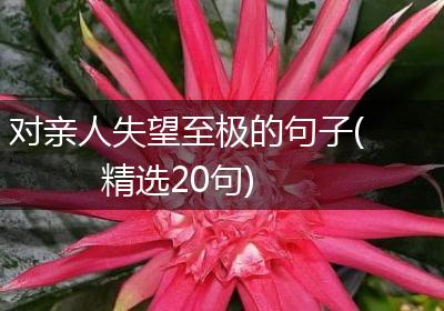 对亲人失望至极的句子(精选20句)