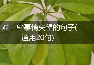 对一些事情失望的句子(通用20句)