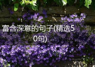 富含深意的句子(精选50句)