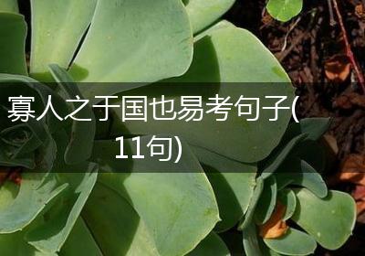 寡人之于国也易考句子(11句)