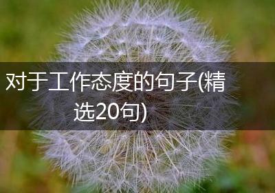 对于工作态度的句子(精选20句)