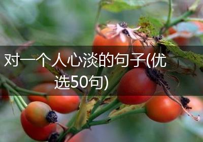 对一个人心淡的句子(优选50句)
