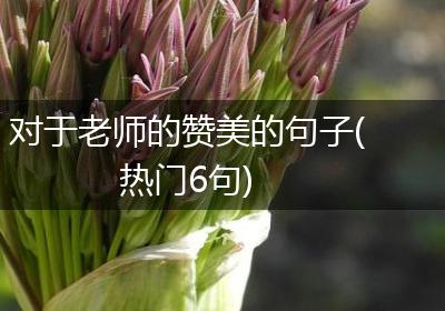 对于老师的赞美的句子(热门6句)