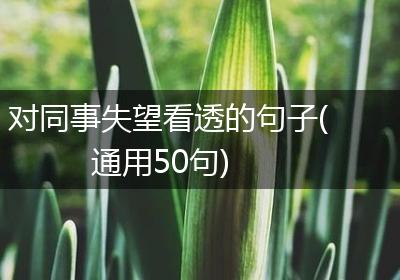 对同事失望看透的句子(通用50句)