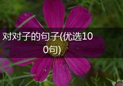 对对子的句子(优选100句)