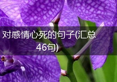 对感情心死的句子(汇总46句)