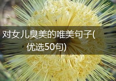 对女儿臭美的唯美句子(优选50句)