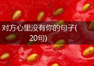 对方心里没有你的句子(20句)
