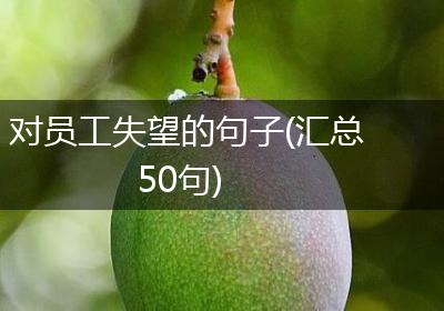 对员工失望的句子(汇总50句)
