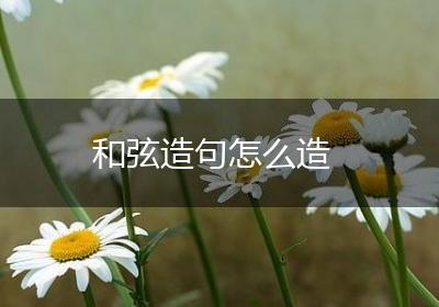 和弦造句怎么造