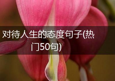 对待人生的态度句子(热门50句)