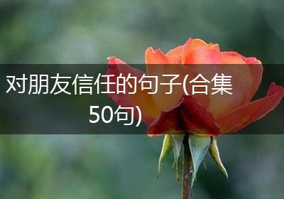 对朋友信任的句子(合集50句)