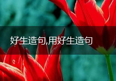 好生造句,用好生造句