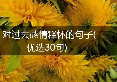 对过去感情释怀的句子(优选30句)