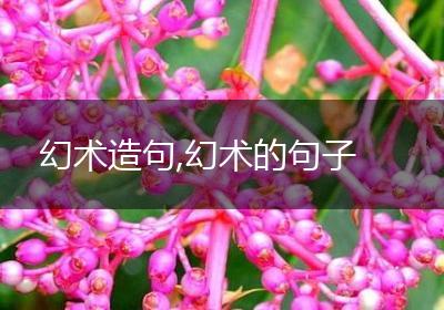 幻术造句,幻术的句子