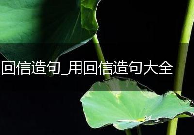 回信造句_用回信造句大全