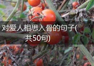 对爱人相思入骨的句子(共50句)