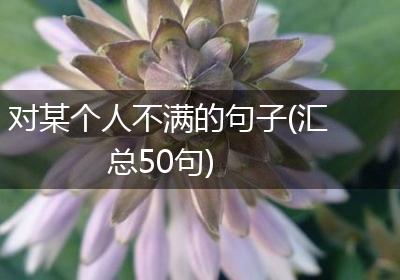 对某个人不满的句子(汇总50句)