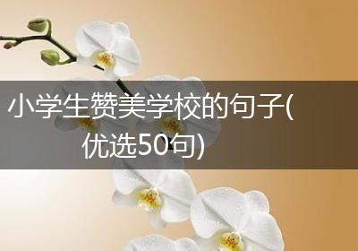 小学生赞美学校的句子(优选50句)