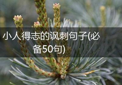 小人得志的讽刺句子(必备50句)
