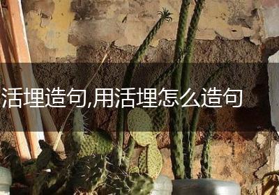活埋造句,用活埋怎么造句