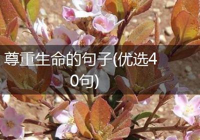 尊重生命的句子(优选40句)
