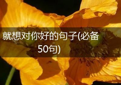 就想对你好的句子(必备50句)