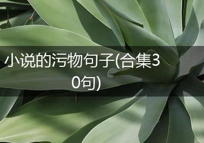 小说的污物句子(合集30句)