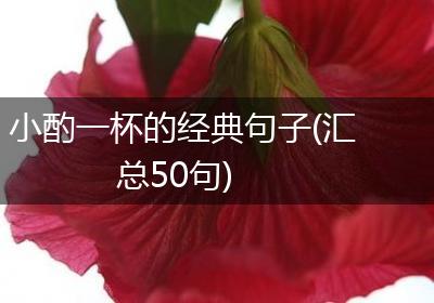 小酌一杯的经典句子(汇总50句)
