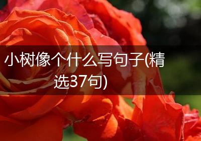 小树像个什么写句子(精选37句)