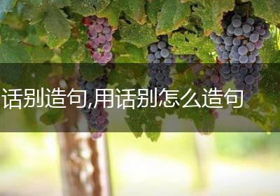 话别造句,用话别怎么造句