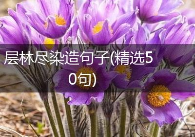 层林尽染造句子(精选50句)