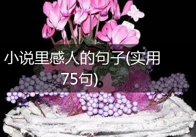 小说里感人的句子(实用75句)