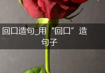 回口造句_用“回口”造句子