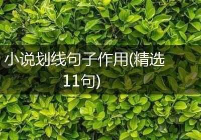小说划线句子作用(精选11句)